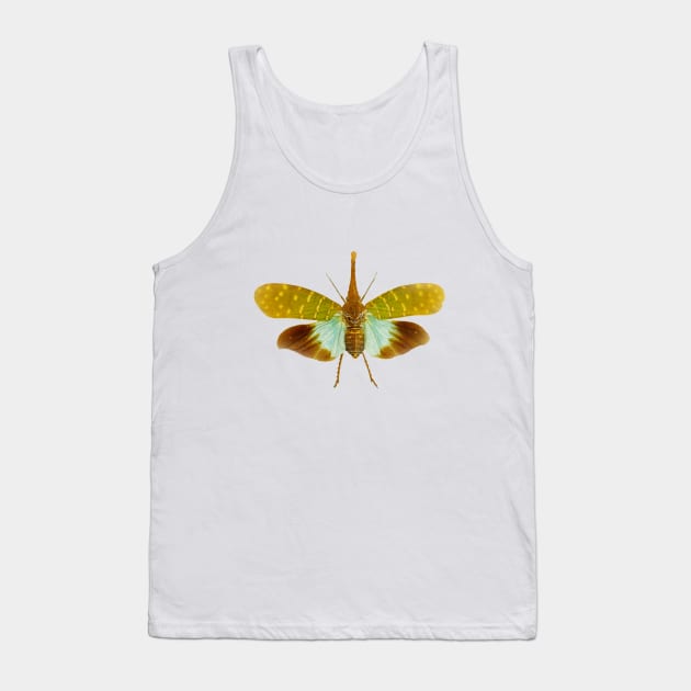 Lanternfly Pyrops intricatus Tank Top by heidiannemorris